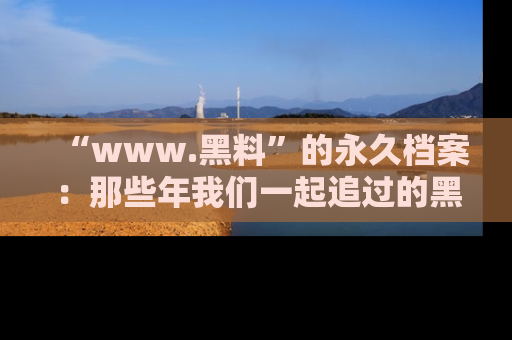 “www.黑料”的永久档案:那些年我们一起追过的黑料真相