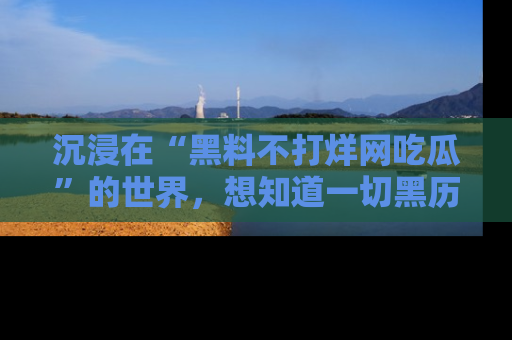 沉浸在“黑料不打烊网吃瓜”的世界，想知道一切黑历史与内幕信息的网站！