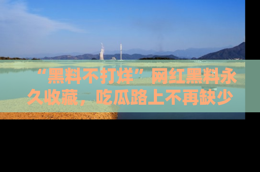 “黑料不打烊”网红黑料永久收藏,吃瓜路上不再缺少惊喜与乐趣
