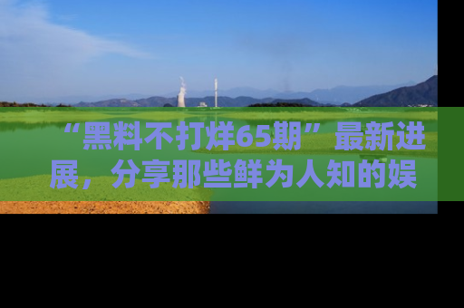 “黑料不打烊65期”最新进展,分享那些鲜为人知的娱乐八卦