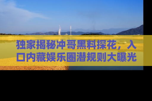 独家揭秘冲哥黑料探花，入口内藏娱乐圈潜规则大曝光