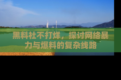 黑料社不打烊，探讨网络暴力与爆料的复杂线路