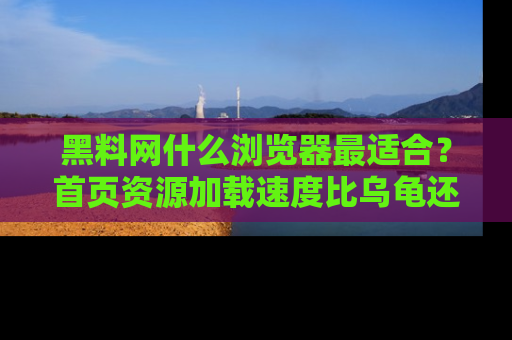 黑料网什么浏览器最适合？首页资源加载速度比乌龟还慢的体验真心吐槽！