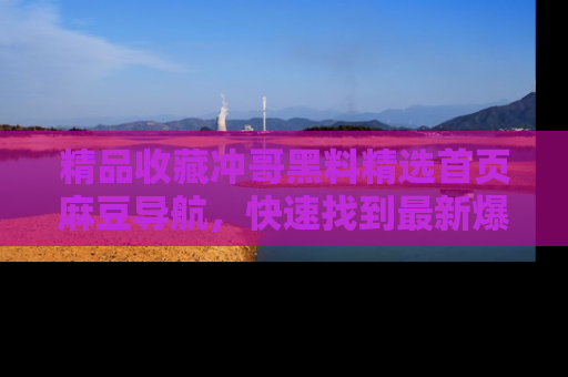 精品收藏冲哥黑料精选首页麻豆导航，快速找到最新爆料