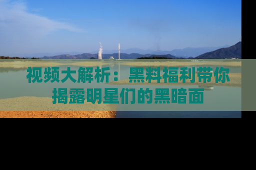 视频大解析：黑料福利带你揭露明星们的黑暗面