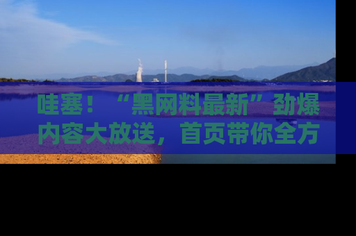哇塞!“黑网料最新”劲爆内容大放送,首页带你全方位了解哦,小可爱们