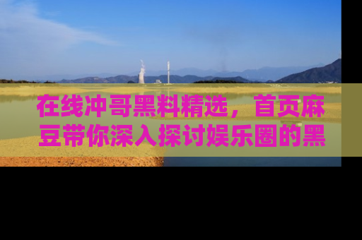 在线冲哥黑料精选，首页麻豆带你深入探讨娱乐圈的黑暗面