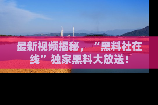 最新视频揭秘,“黑料社在线”独家黑料大放送!